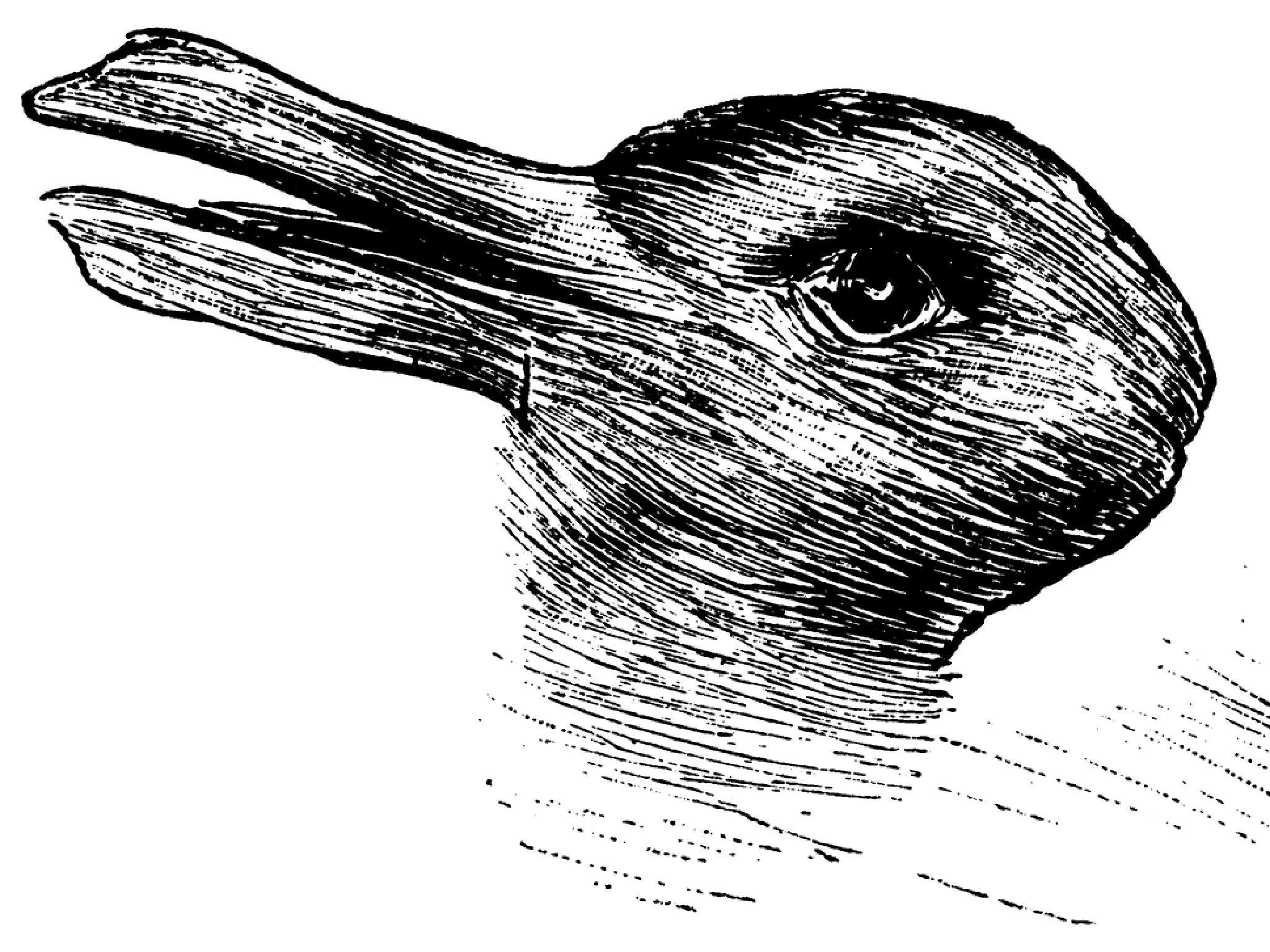 a duck, a rabbit, a bunch of pixels